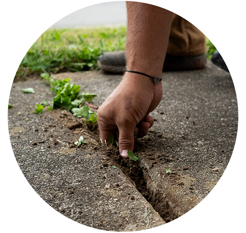 Removing weeds and debris from concrete joint