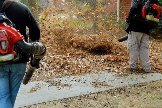 Cleaning off leaves with leaf blowers