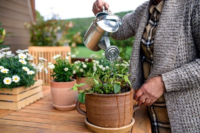 Woman watering plant in flower pot