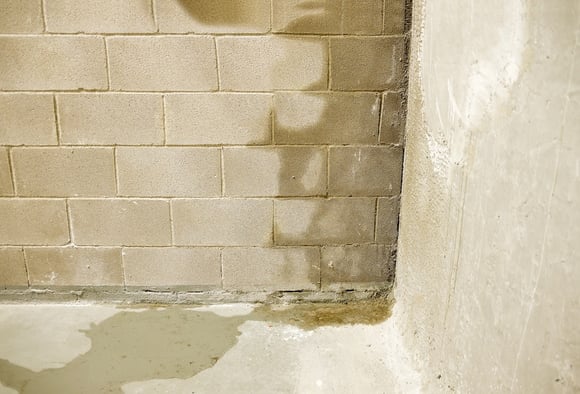 Brick and mortar basement wall with dampness and leak in corner