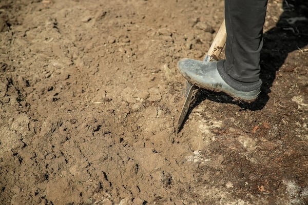 Shoveling loose soil