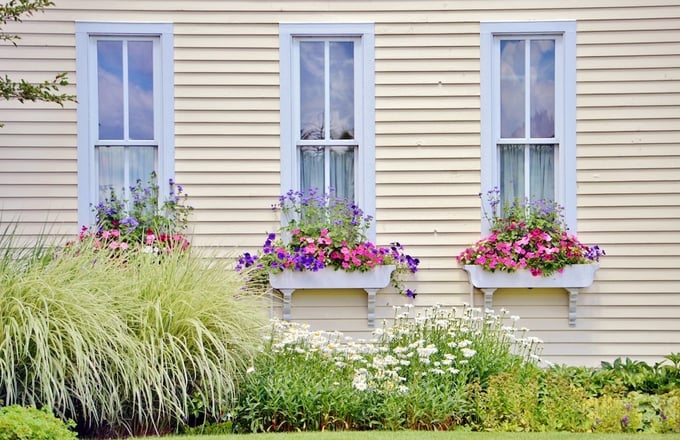 Window boxes full of flowers on yellow home